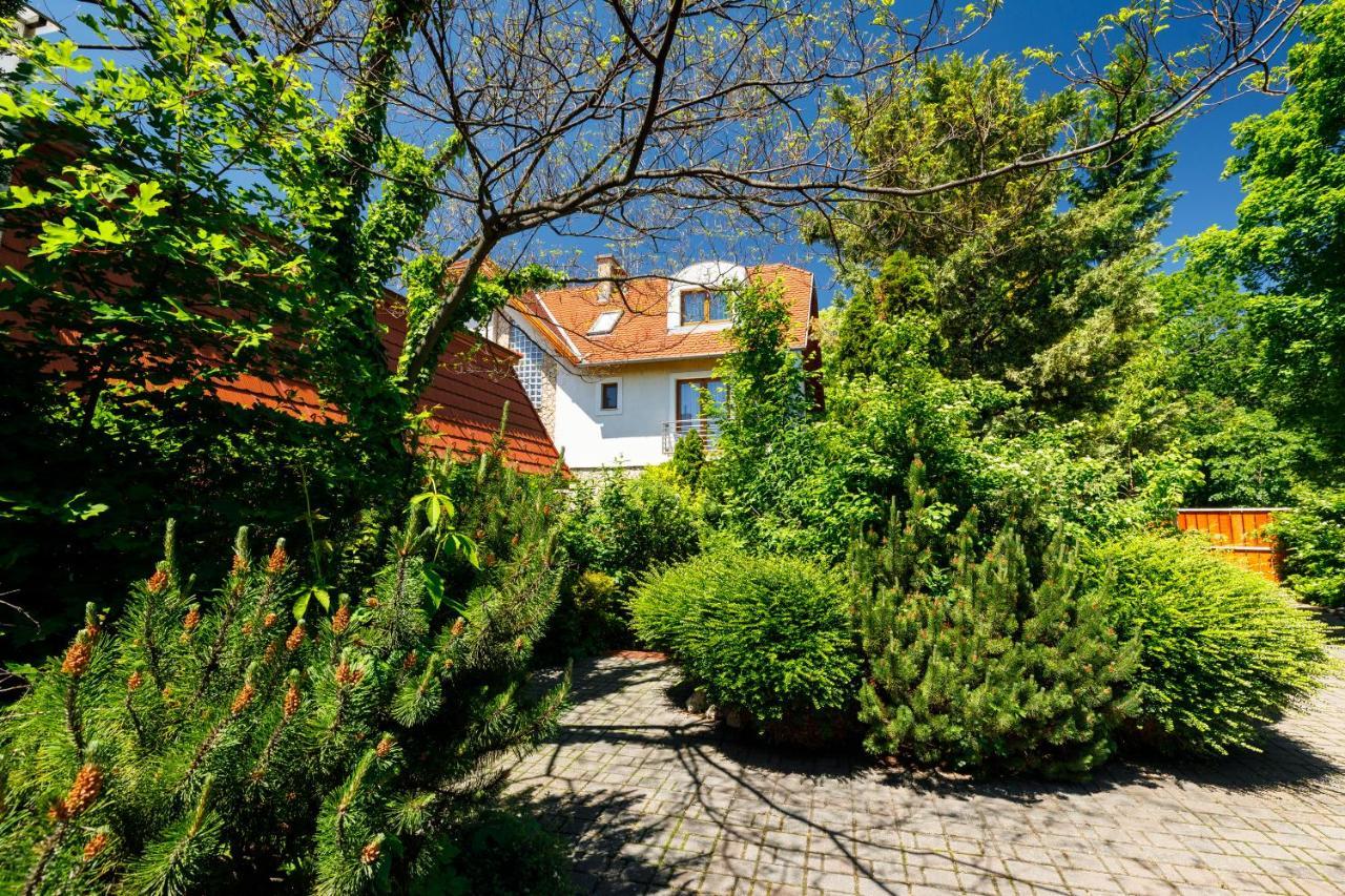Villa Muzsa Deluxe 블로톤퓌레드 외부 사진